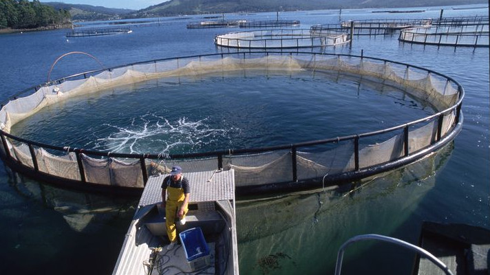 Отсутствие технологий управления аквакультурой может повлиять на экономику, - Минсельхоз &mdash; Tazabek