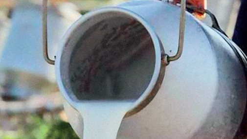 За последние 4 года показатели надоя молока в Кыргызстане уменьшились на 39 кг &mdash; Tazabek