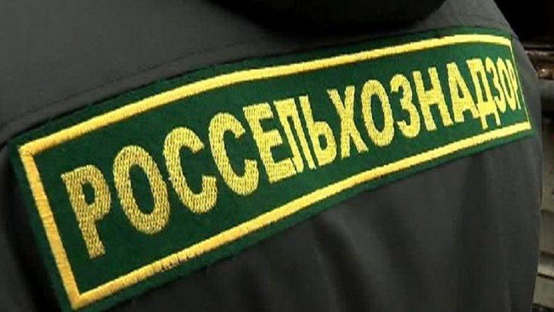 Россельхознадзор вернул в Казахстан и Кыргызстан более 110 тонн незаконно ввезенной подкарантинной продукции &mdash; Tazabek
