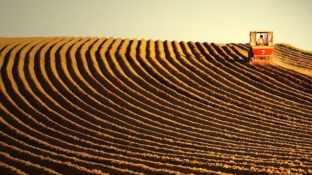 Общая площадь посевных площадей за 2018 год составила 1,2 млн га, - Минсельхоз &mdash; Tazabek