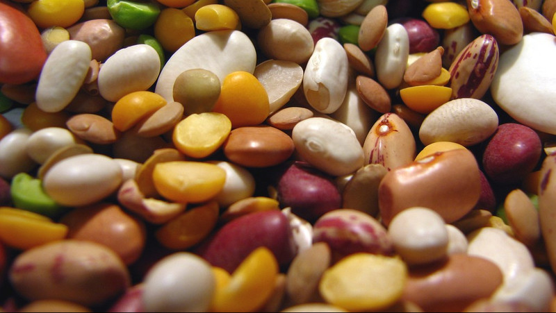 Экспорт в Армению: Кыргызстан продал только 4 вида товаров на $71,4 тыс. &mdash; Tazabek