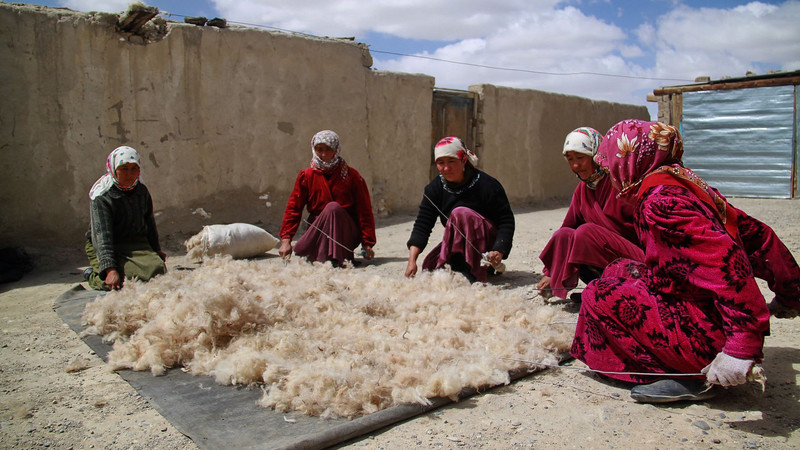 Шкурный интерес: ТОП-8 кыргызстанских компаний, поставляющих шерсть в ЕАЭС (владельцы+отчисления) &mdash; Tazabek
