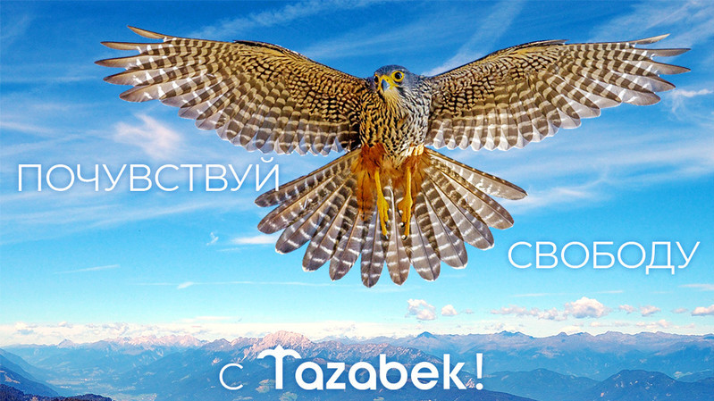 Как получить доступ к архиву с 1 млн экономических новостей? — Tazabek