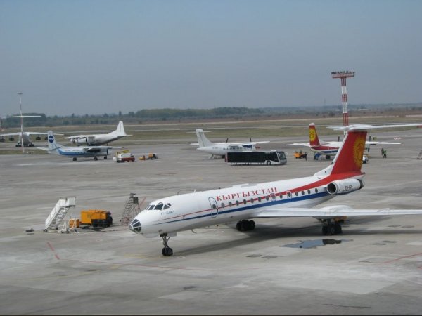 Правительство снова выступает за внедрение политики &laquo;Открытого неба&raquo; для определенных стран &mdash; Tazabek