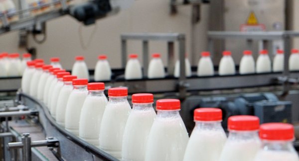 Правительство одобрило проект соглашения с Всемирным банком о гранте для повышения производительности молочного сектора в КР &mdash; Tazabek