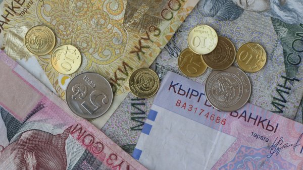 Быстрые деньги: Кому выгодны микрокредиты? &mdash; Tazabek