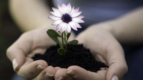 Волонтерская команда лицеистов «Дети детям» учатся состраданию, помогая особенным детям. Опыт профлицея №16