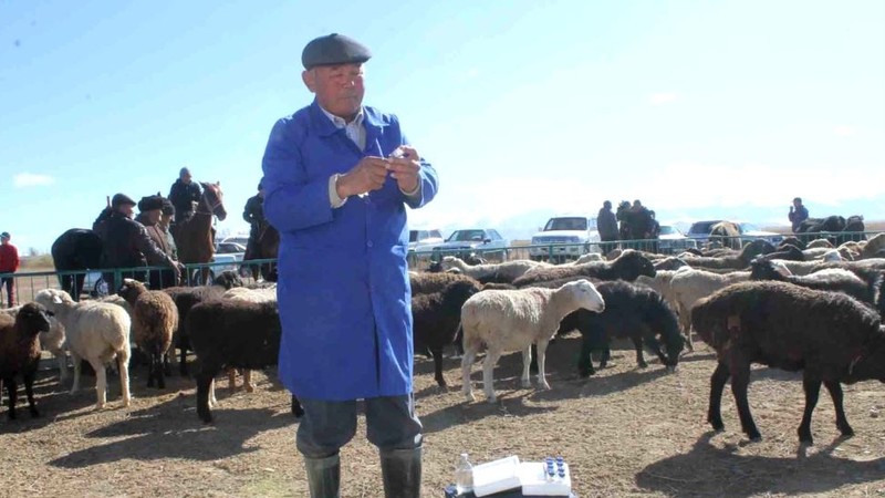 КР обсудит с Международным эпизоотическим бюро стратегию развития  ветслужбы &mdash; Tazabek