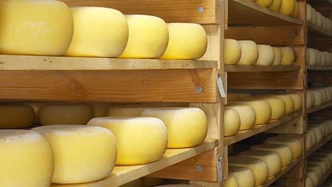 Сегмент кыргызстанских сыроделов &mdash; каковы их мощности? (владельцы) &mdash; Tazabek