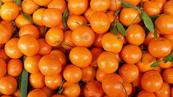 Таможенники предотвратили незаконный ввоз мандаринов &mdash; Tazabek