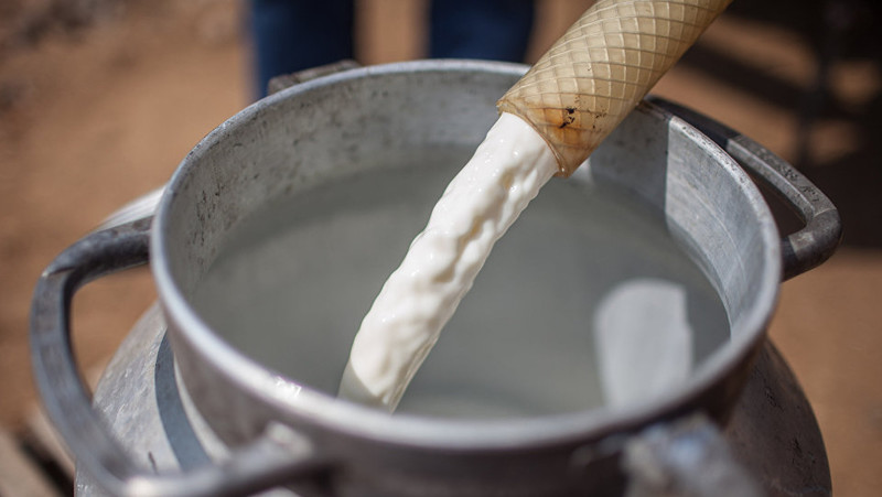 Молочное производство: Ценовые показатели по регионам &mdash; Tazabek