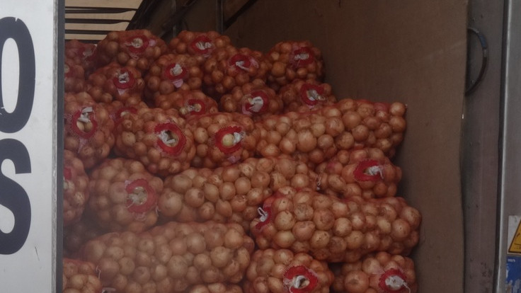 Россельхознадзор вернул в Кыргызстан и Казахстан 123 тонн подкарантинной продукции и 10,2 тыс. штук посадочного материала &mdash; Tazabek