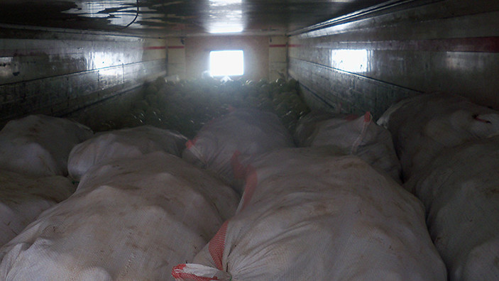 Россельхознадзор вернул в Кыргызстан более 41 тонн репчатого лука и свеклы &mdash; Tazabek