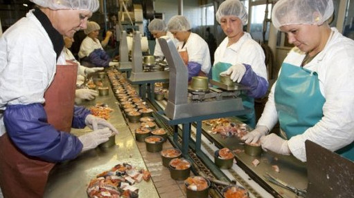 Куда вложиться инвесторам: Простаивающие пищевые предприятия (часть вторая) &mdash; Tazabek