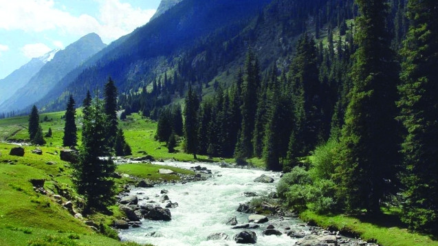 Природные ресурсы должны стать не расходной, а доходной частью бюджета, - глава &laquo;Эко-Партнер&raquo; &mdash; Tazabek