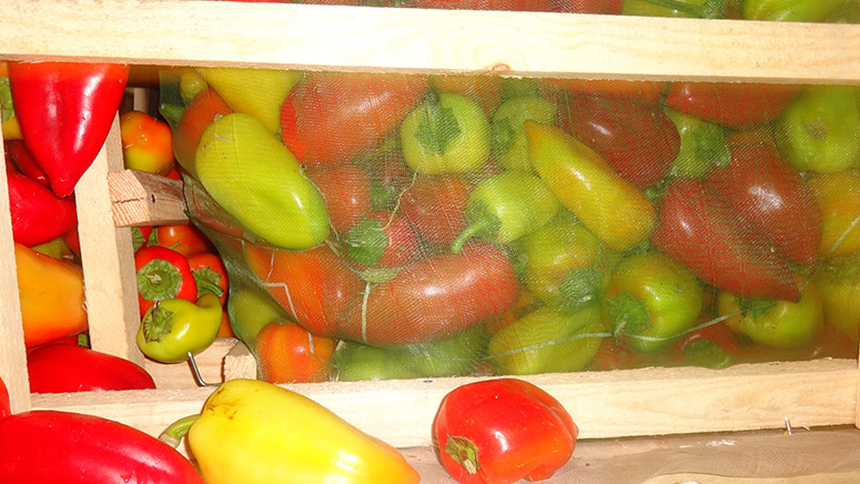 В Оренбургскую область не пропустили 248 тонн винограда, дыни и перца из Казахстана и Кыргызстана &mdash; Tazabek