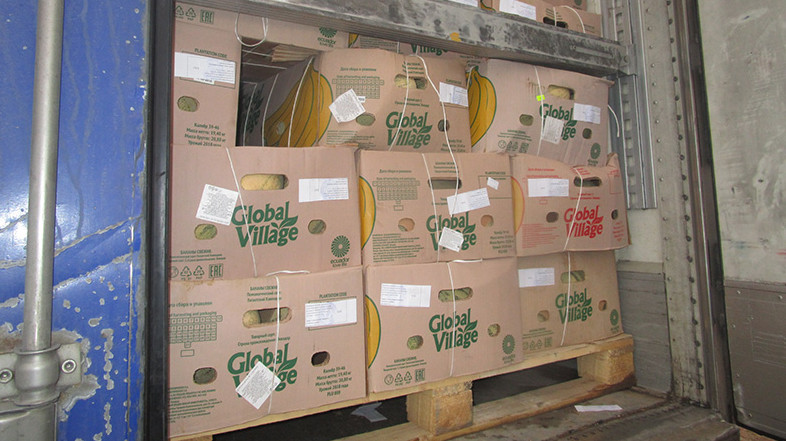 Россельхознадзор вернул в Казахстан и Кыргызстан 166 тонн подкарантинной продукции &mdash; Tazabek