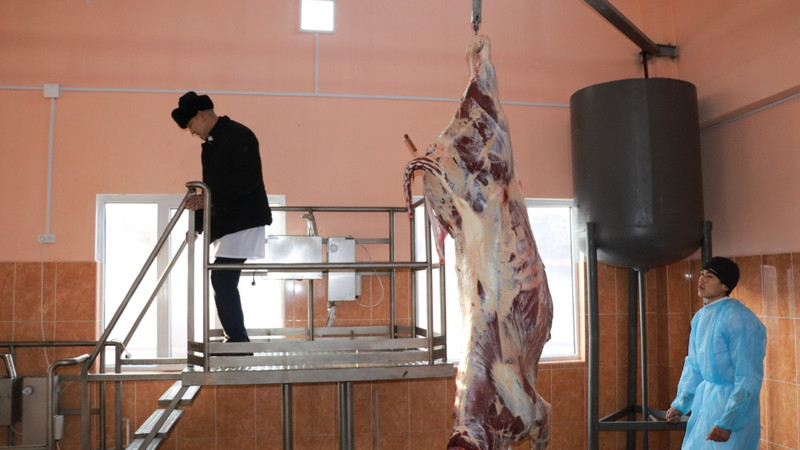 В целях оптимизации Госветинспекция сократила количество ветлабораторий &mdash; Tazabek