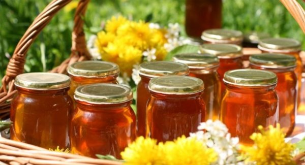 Россельхознадзор не пропустил 700 кг кыргызстанского меда &mdash; Tazabek