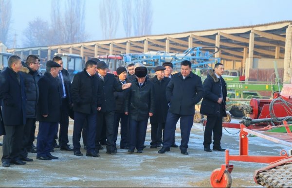 Необходимо усилить работу по идентификации скота, - правительство &mdash; Tazabek