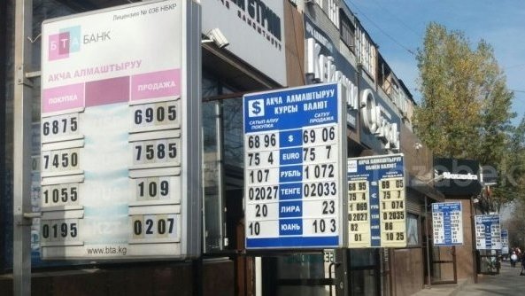 За первую неделю Нового года открылась 1 обменка (владелец) &mdash; Tazabek