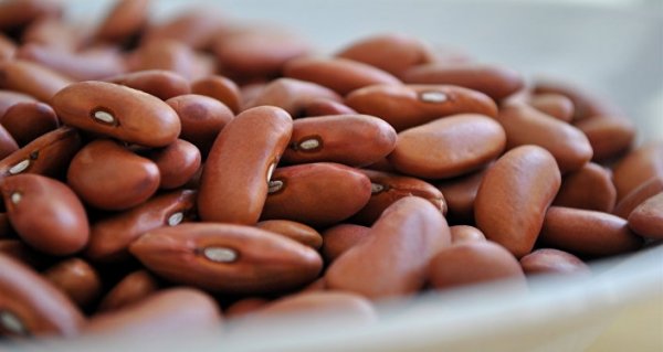 В 2016 году Кыргызстан в 3,5 раза увеличил экспорт фасоли в Казахстан &mdash; Tazabek