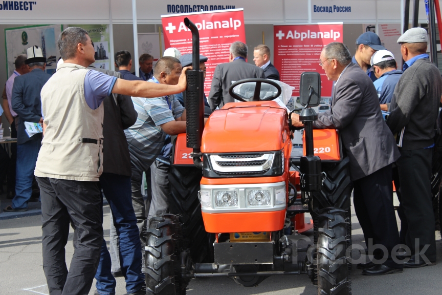 Фоторепортаж &mdash; в Бишкеке проходит сельхозвыставка &laquo;Айыл- Агро&raquo; &mdash; Tazabek