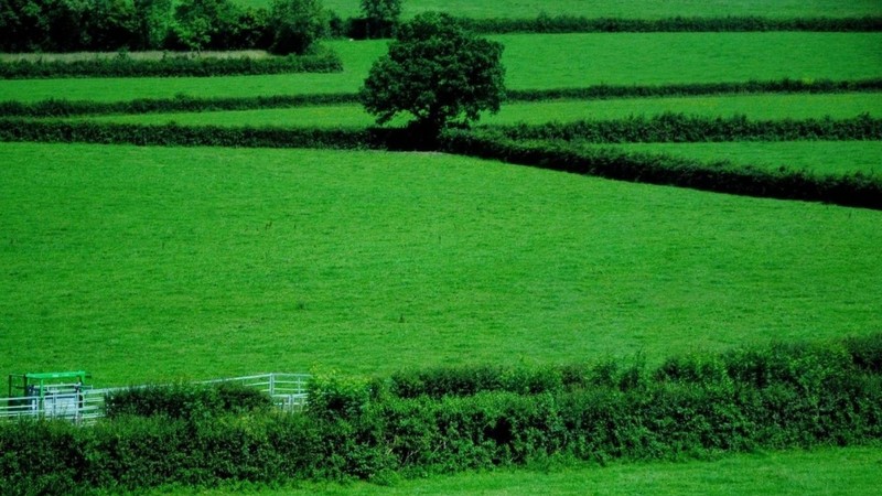 Обзор Tazabek: Сколько гектаров земель было трансформировано для населения и объектов экономики в Кыргызстане? &mdash; Tazabek