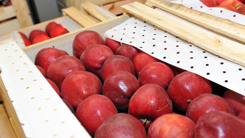 На закон о выдаче сельскохозяйственных кредитов под 7% было наложено вето, - депутат &mdash; Tazabek