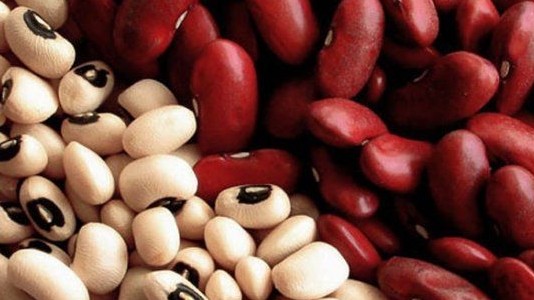 Полпред М.Мураталиев предлагает построить в Таласской области 4 логистических центра и 2 мясокомбината &mdash; Tazabek