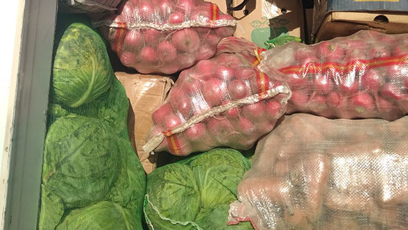 Россельхознадзор не пропустил 116 тонн подкарантинной продукции из Казахстана и Кыргызстана &mdash; Tazabek