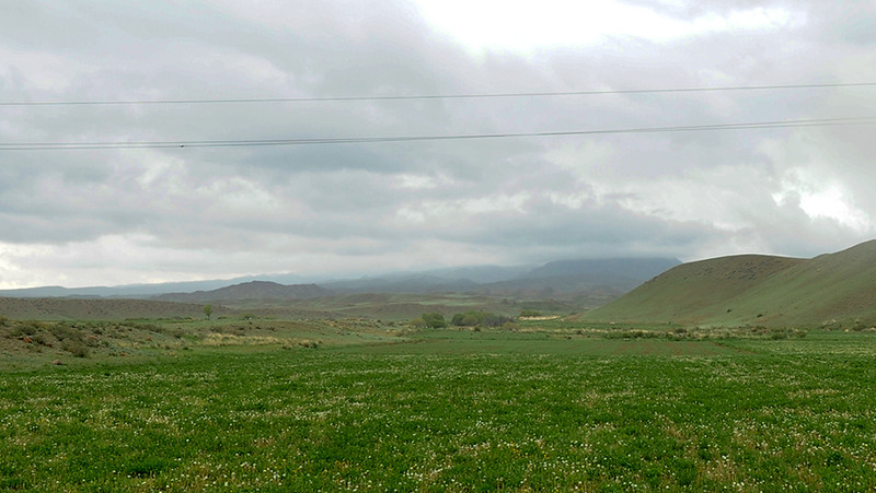 Депутат предложил направлять плату за пользование пастбищами гослесфонда в местный бюджет &mdash; Tazabek