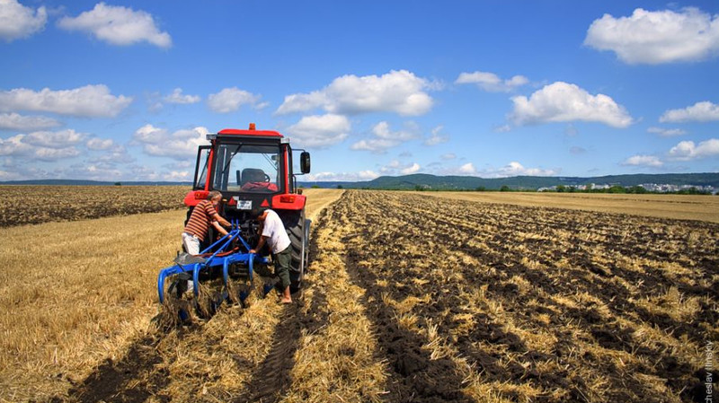 В год сельхозкредиты берут от 8 тыс. до 15 тыс. фермеров, - депутат &mdash; Tazabek