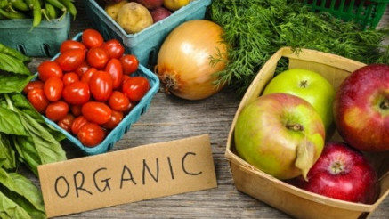 Правительство образовало межведгруппу по повышению экспортного потенциала органической сельхозпродукции (состав) &mdash; Tazabek