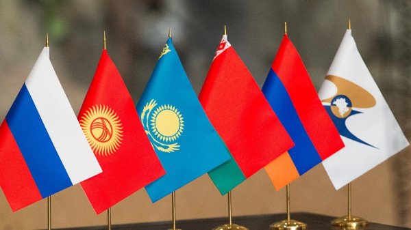 Кыргызстан до сих пор не может экспортировать мясо в Казахстан и Россию из-за неготовности кыргызских убойных цехов, - Госветинспекция &mdash; Tazabek