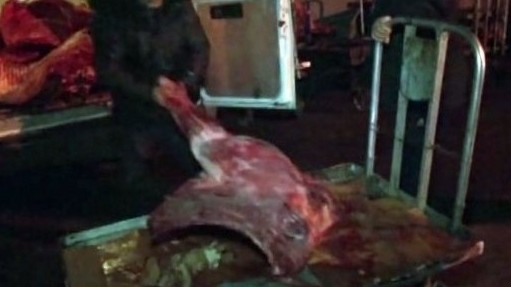 ГСБЭП предъявила обвинение гражданину, который пытался продать мертвичину на Ошском рынке &mdash; Tazabek