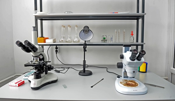 В городах Каракол, Балыкчы, Талас и Баткен будут построены ветеринарные лаборатории, - правительство &mdash; Tazabek