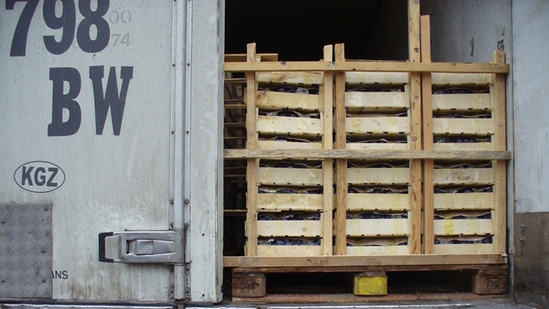 Россельхознадзор вернул в Кыргызстан 20 тонн сливы &mdash; Tazabek