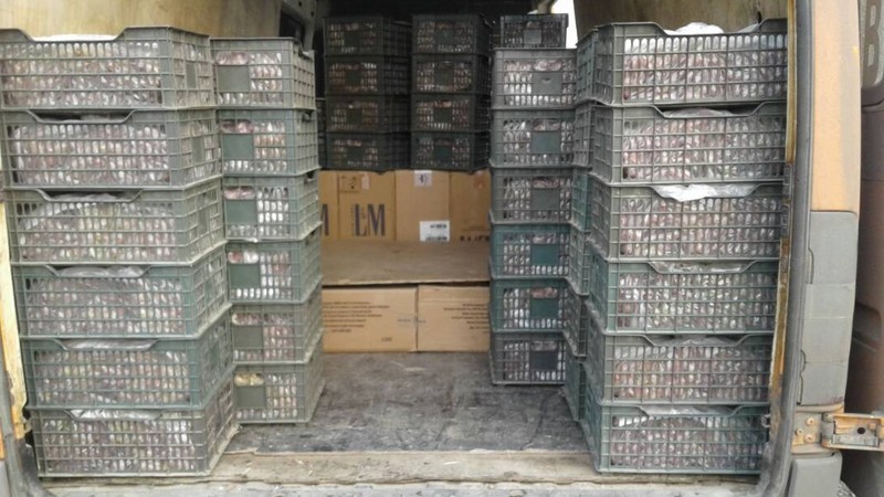 Таможенники пресекли незаконный ввоз сигарет из Таджикистана &mdash; Tazabek