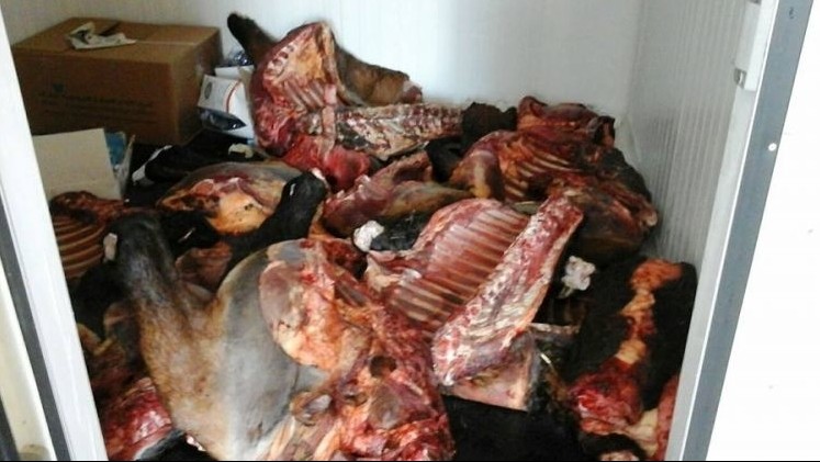 На Ошском рынке с трудом была прекращена продажа мертвечины, - глава Госветфитосанинспекции &mdash; Tazabek