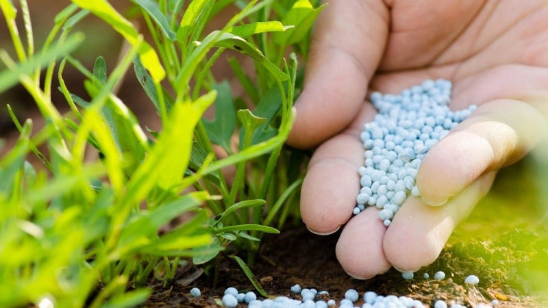 Сельское хозяйство: В какой части Кыргызстана минеральные удобрения дороже? &mdash; Tazabek