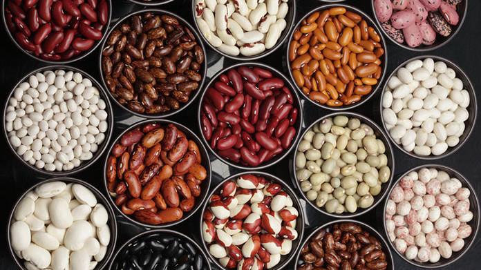 В Европе востребована фасоль красного цвета, а в Кыргызстане выращивают белую, - Минсельхоз &mdash; Tazabek