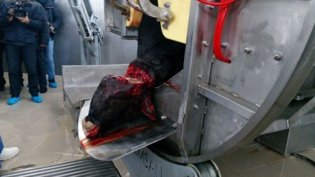 Большая мясорубка &mdash; Владельцы 46 убойных цехов (адреса, площадь) &mdash; Tazabek