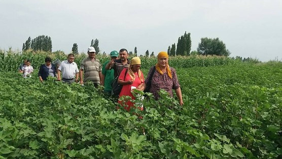 Депутат: Если мы не будем принимать меры по защите наших сельхозпроизводителей, что им сажать в следующем году? &mdash; Tazabek