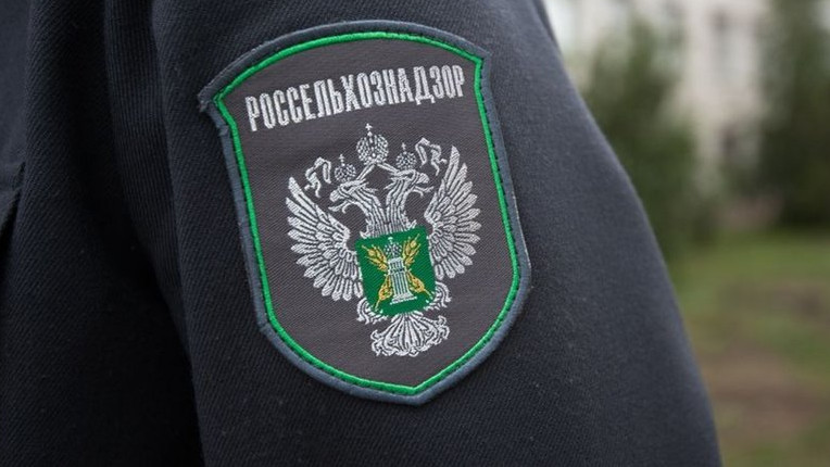 Россельхознадзор вернул в Казахстан и Кыргызстан более 140 тонн подкарантинной продукции — Tazabek