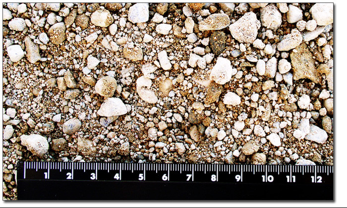 Правительство утвердило положение о госрегистрации прав на добычу песчано-гравийной смеси и суглинков &mdash; Tazabek