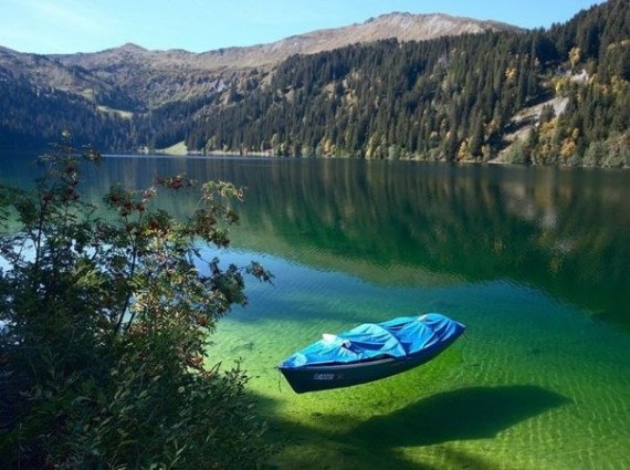 Главное фото