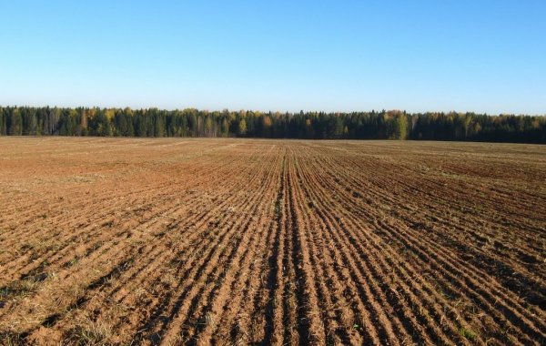 Комитет ЖК одобрил предложение дифференцировать ставки страховых взносов в зависимости от площади земельного участка &mdash; Tazabek