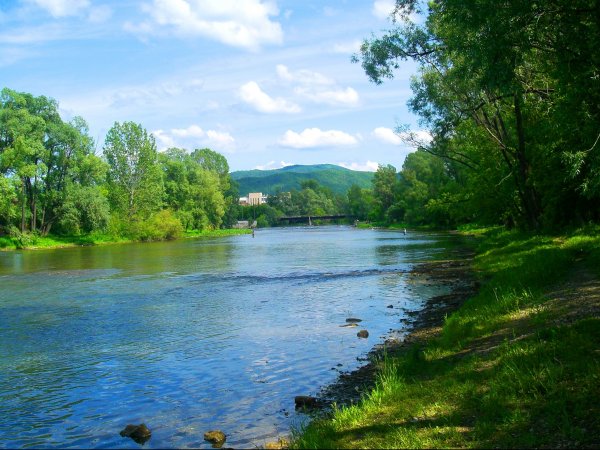 Дефицит водных ресурсов способен привести к тому, что темпы роста ВВП в некоторых регионах могут снизиться на 6%, - Всемирный банк &mdash; Tazabek