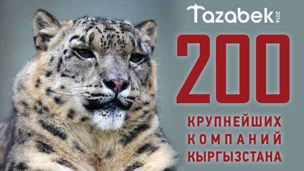 ТОП-200 лидеров рынка: Кто рулит бизнесом в Кыргызстане? &mdash; Tazabek